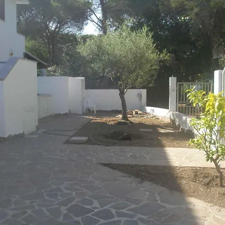 In Nuoro Provinz 39543 *